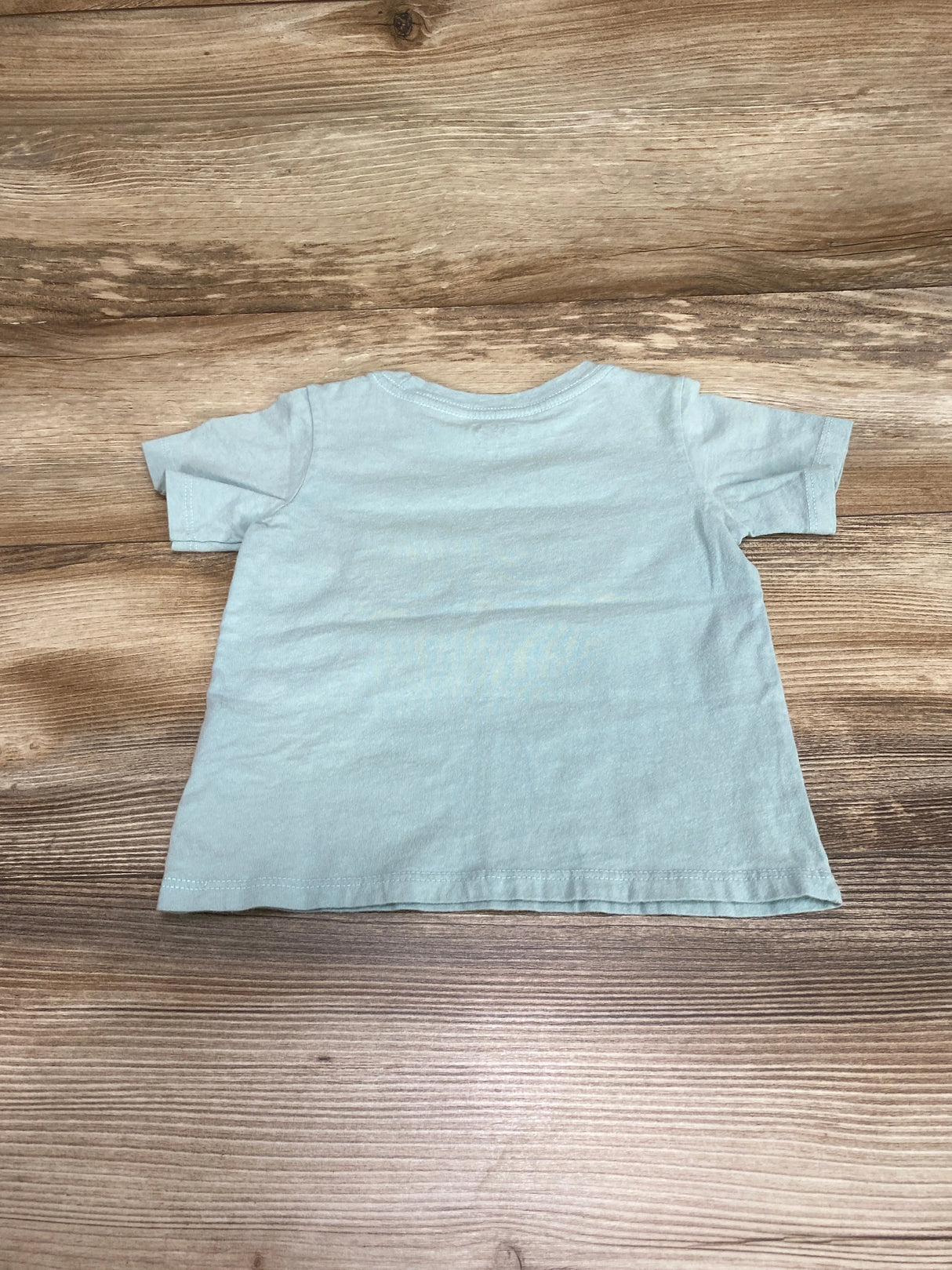 Bluey T-Shirt Mint sz 2T