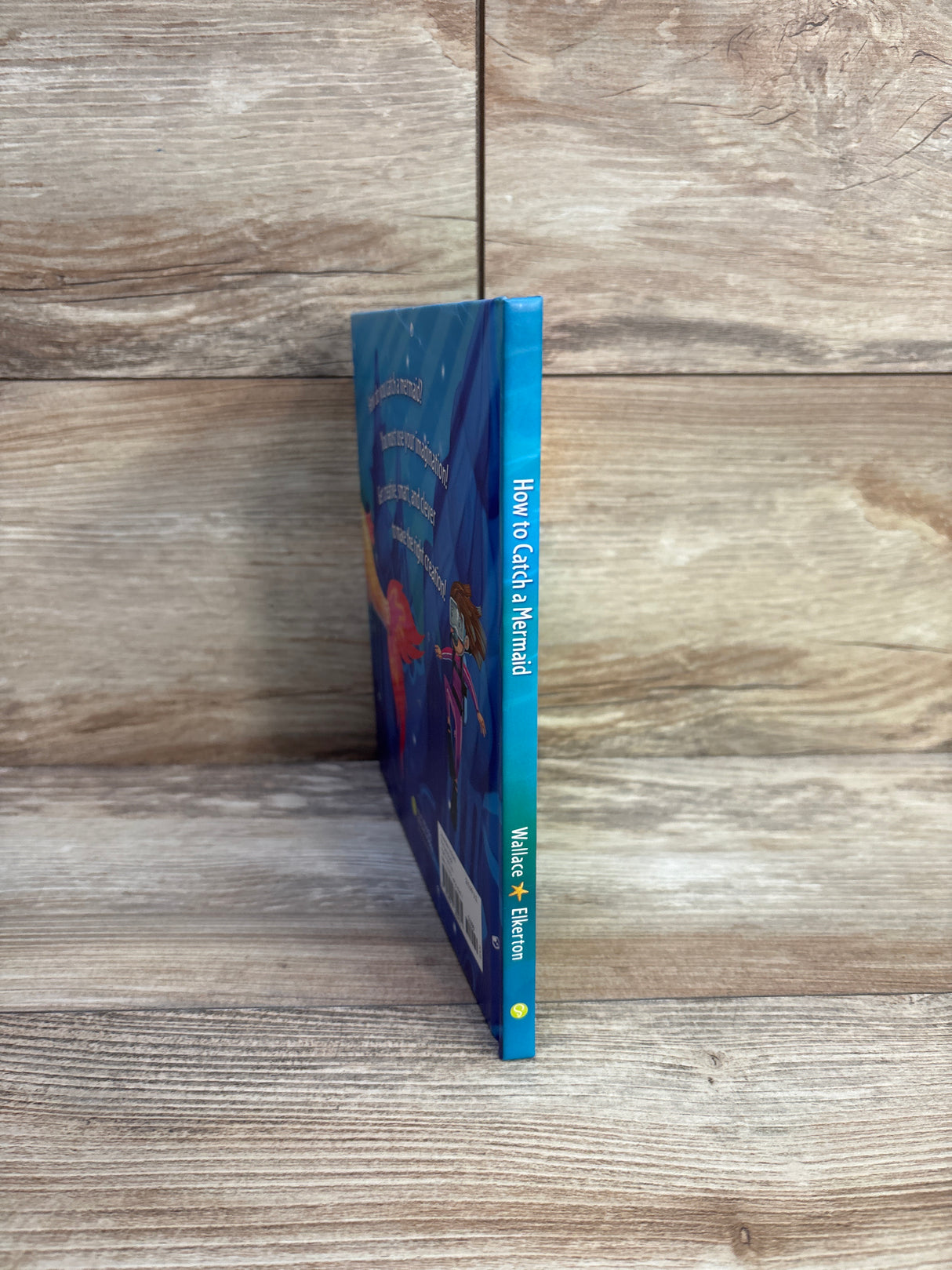 How to Catch a Mermaid Hardcover Book