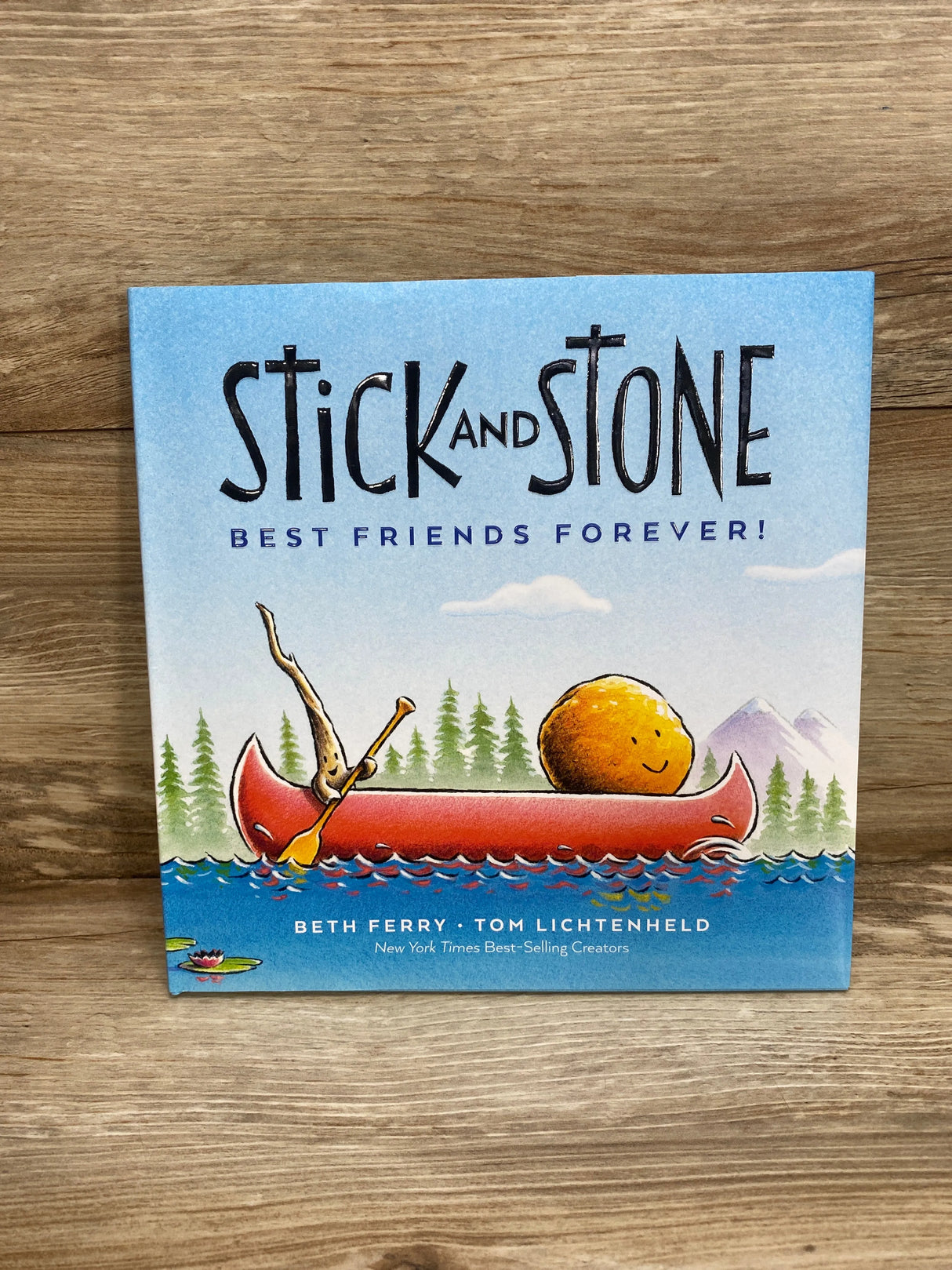 Stick and Stone: Best Friends Forever! Hardcover By Beth Ferry