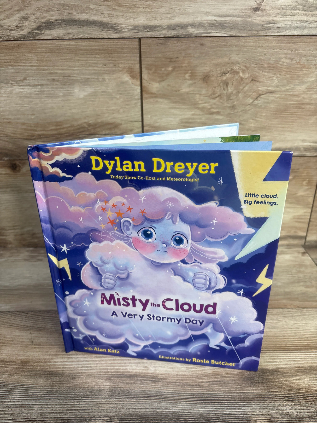Misty the Cloud: A Very Stormy Day Hardcover Book