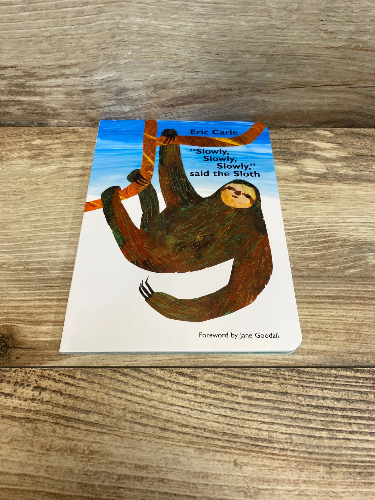 "Slowly, Slowly, Slowly," Said the Sloth Paperback Book