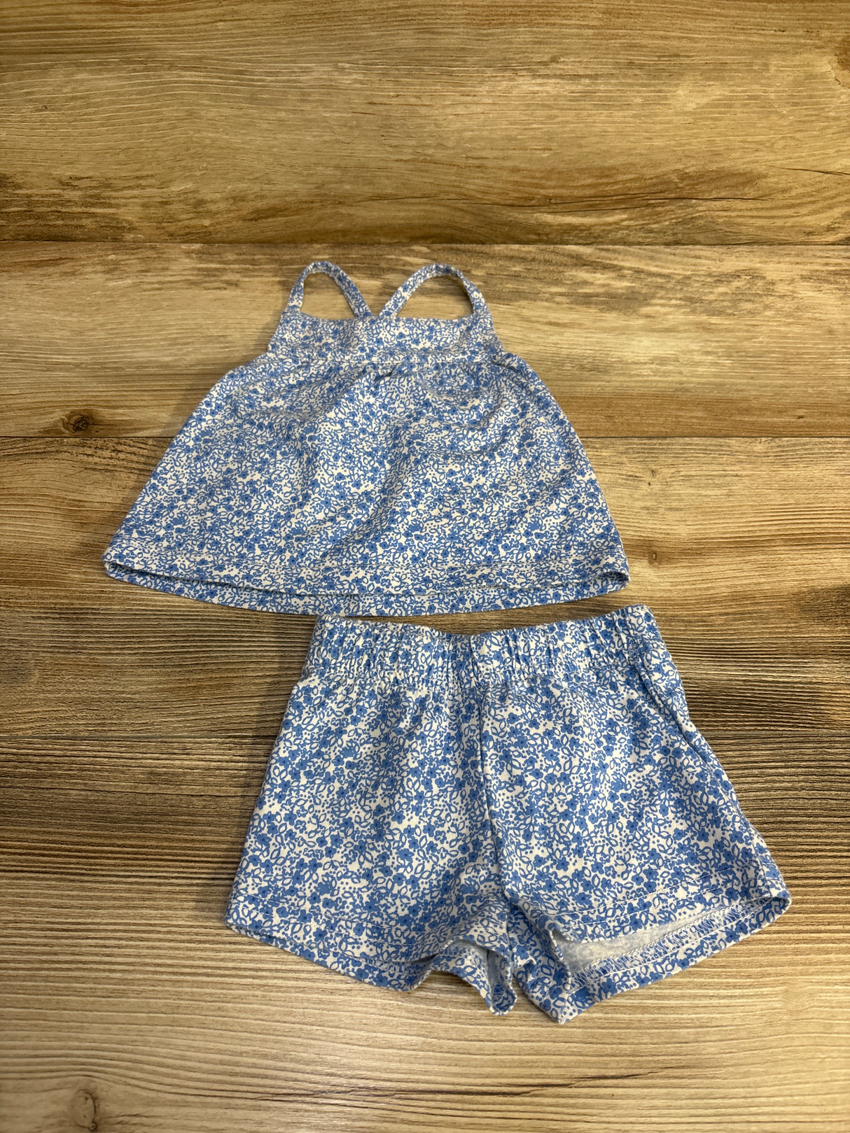 Carter's Floral Top & Shorts Blue sz 3m