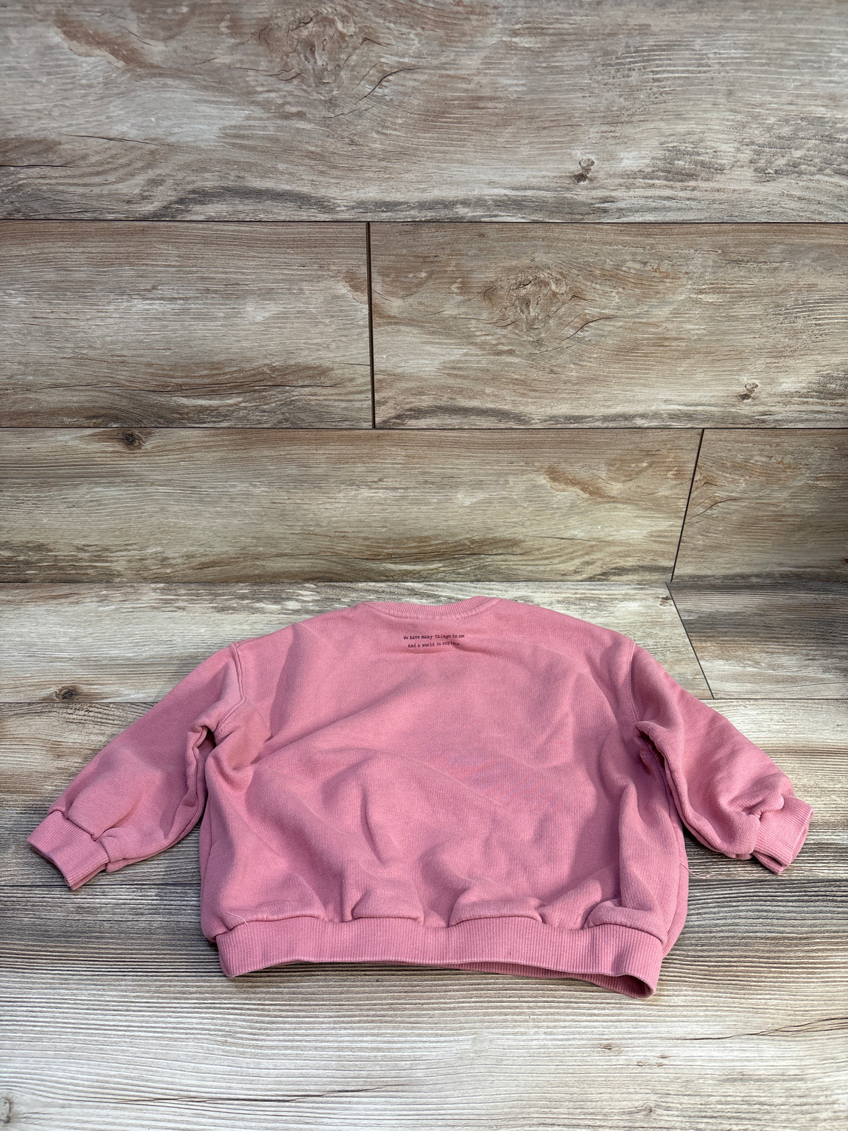 Zara Pullover Sweatshirt Pink sz 3-4T