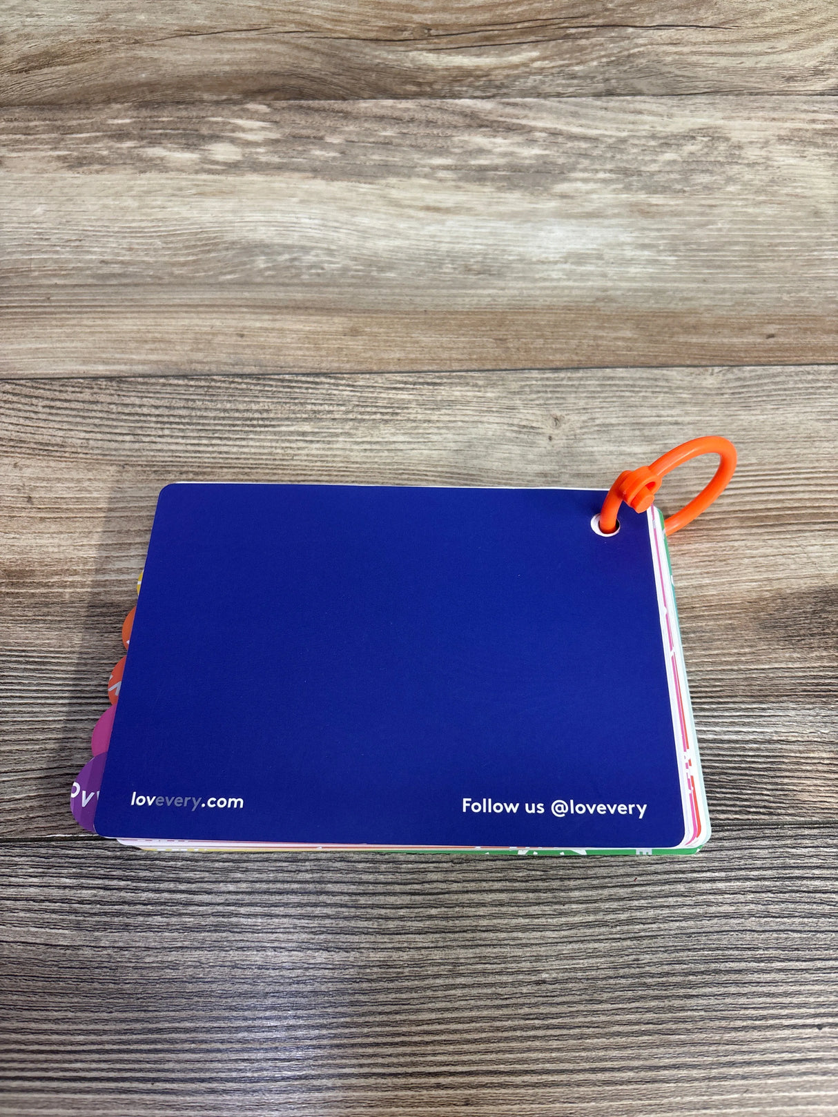 Lovevery The Play Gym Play Guide Teal