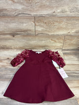 NEW Poppies & Roses Butterfly Tulle Sleeve Dress Maroon sz 5T