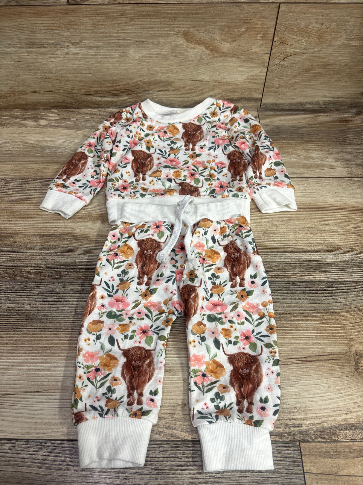 goowrom 2pc Highland Cow Sweatshirt & Joggers Set White sz 3-6m