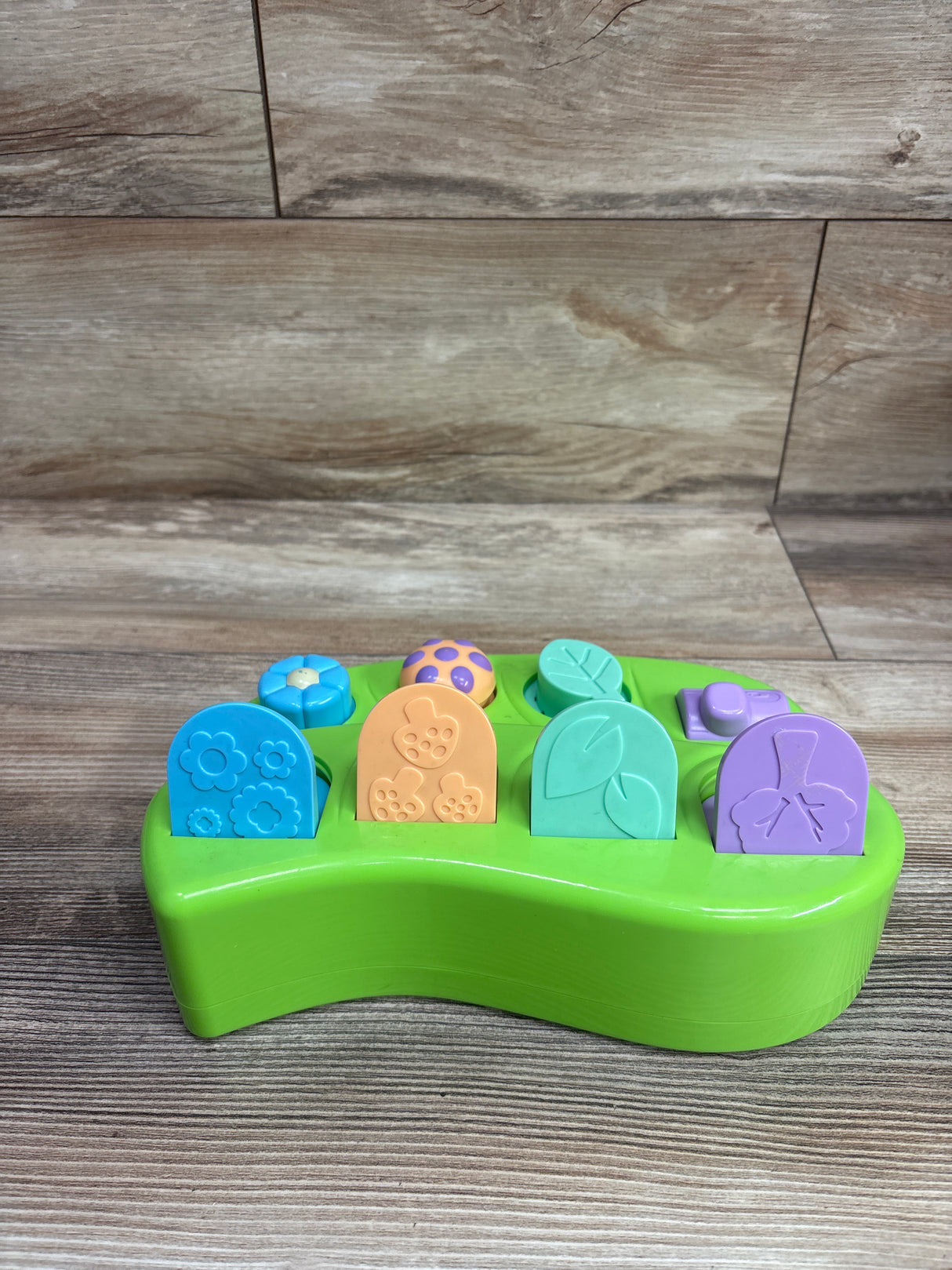MindSprout Peek-A-Bug Pop Up Cause & Effect Toy