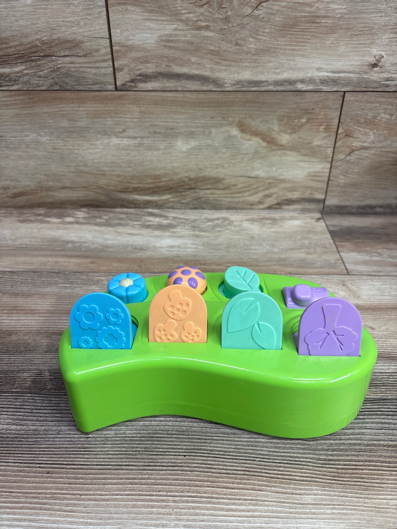 MindSprout Peek-A-Bug Pop Up Cause & Effect Toy