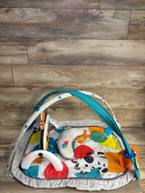Baby Einstein 4-in-1 Kickin' Tunes Music and Language Discovery Play Gym