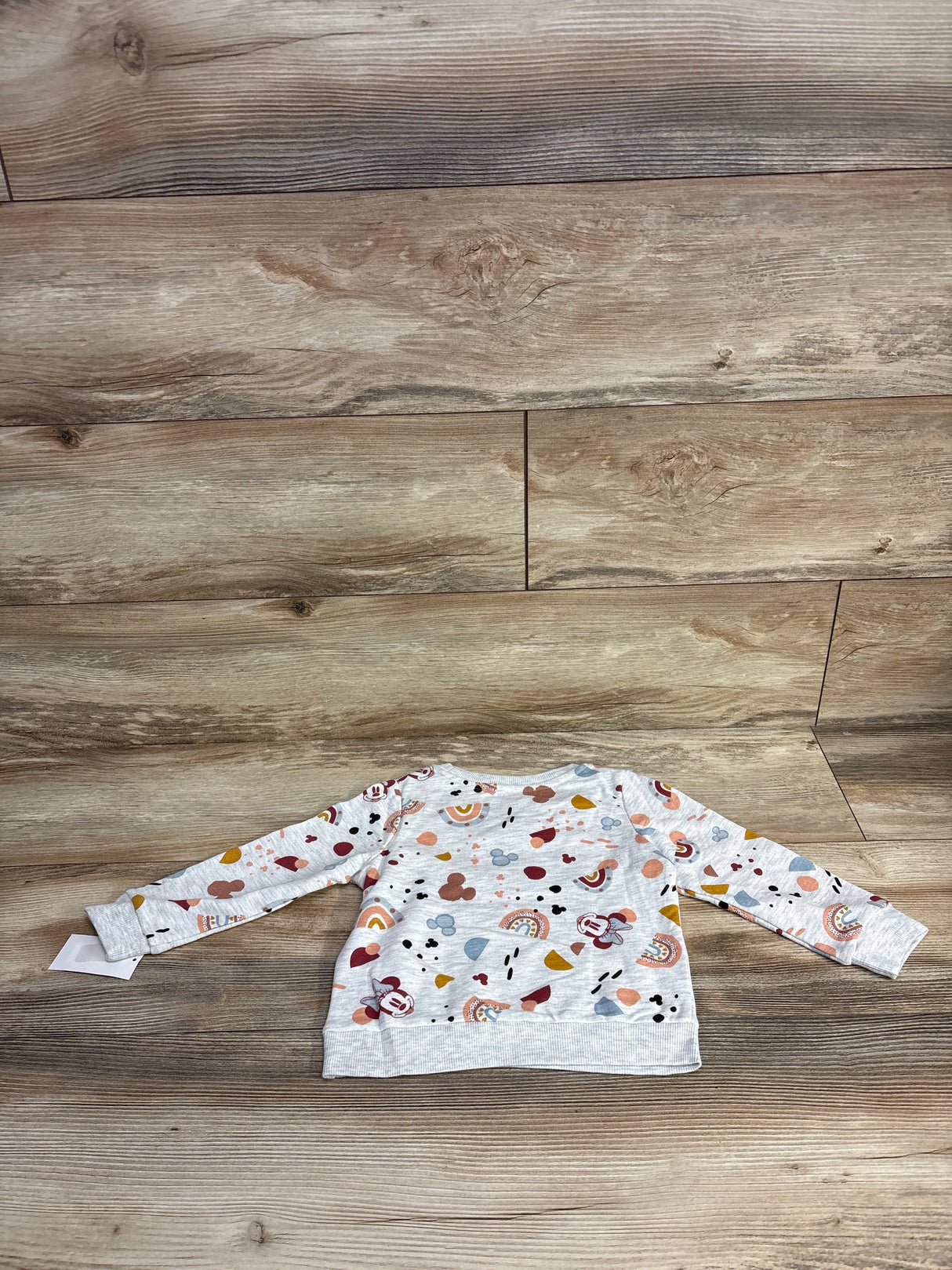 NEW Disney Junior Minnie Mouse Rainbow Sweatshirt Grey sz 2T