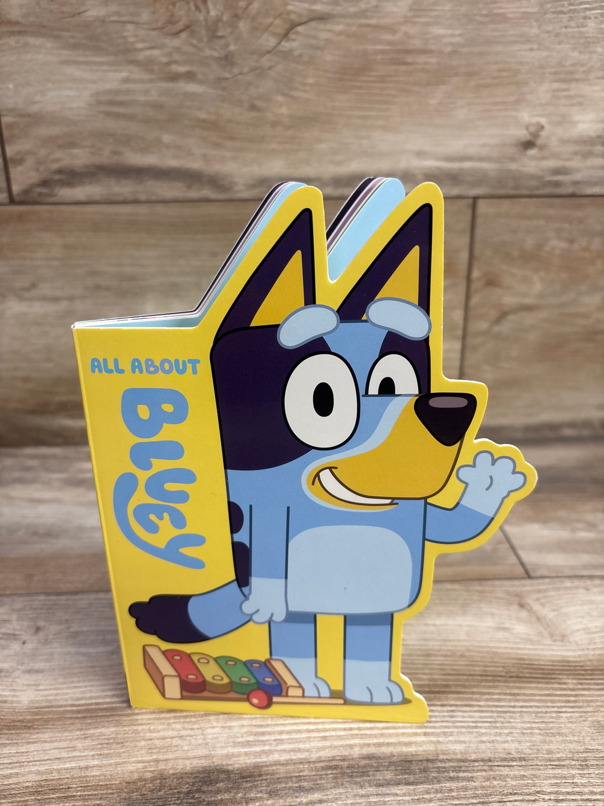 All About Bluey Board Book