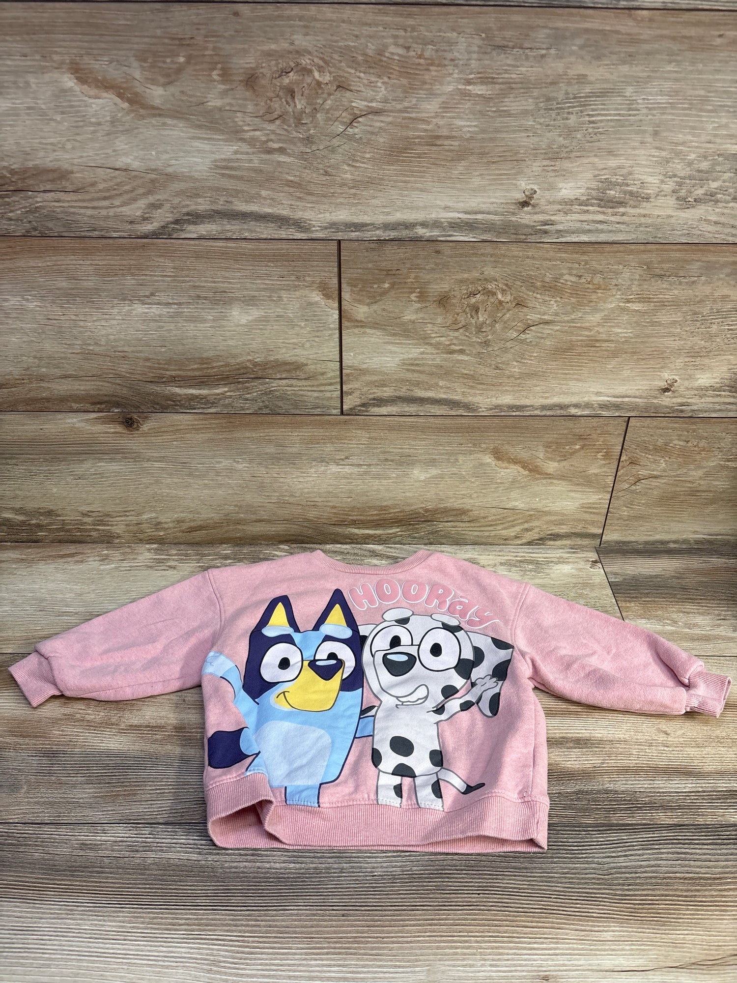 Bluey Hooray Pullover Sweatshirt Pink sz 2T
