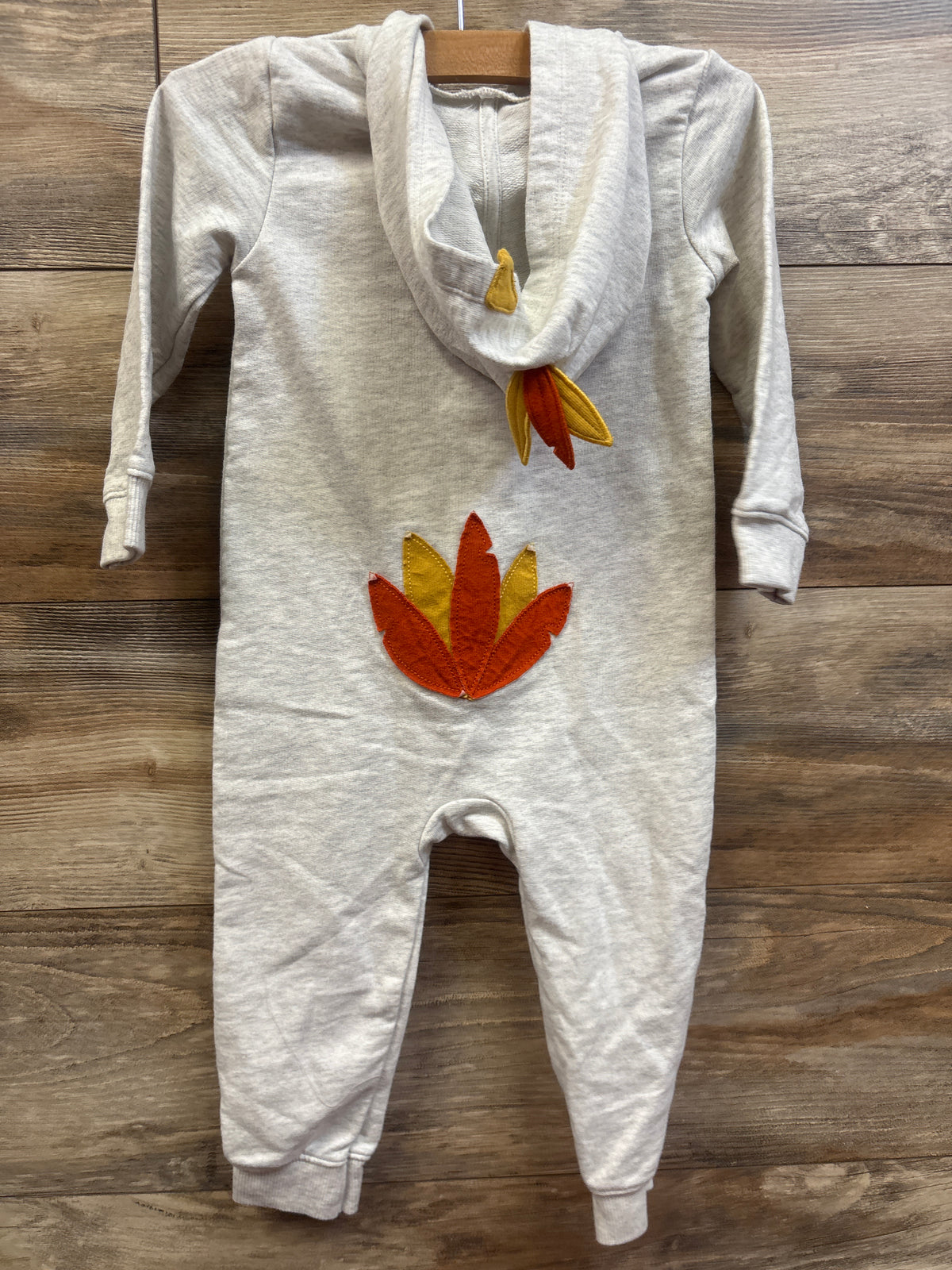 Carter's Turkey Hooded Coverall Grey sz 24m