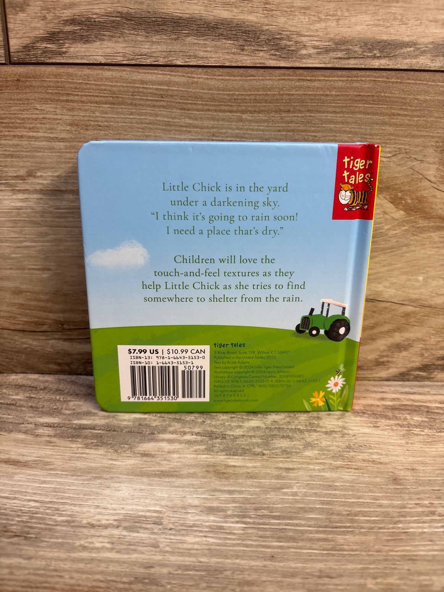 Little Chick a Touch-and-Feel Board Book