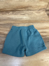 Champion Pull On Shorts Blue sz 9m