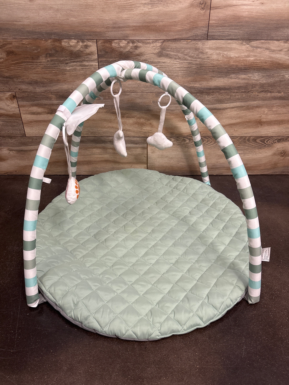 Blissful Diary Baby Play Gym Mat in Sage Green*