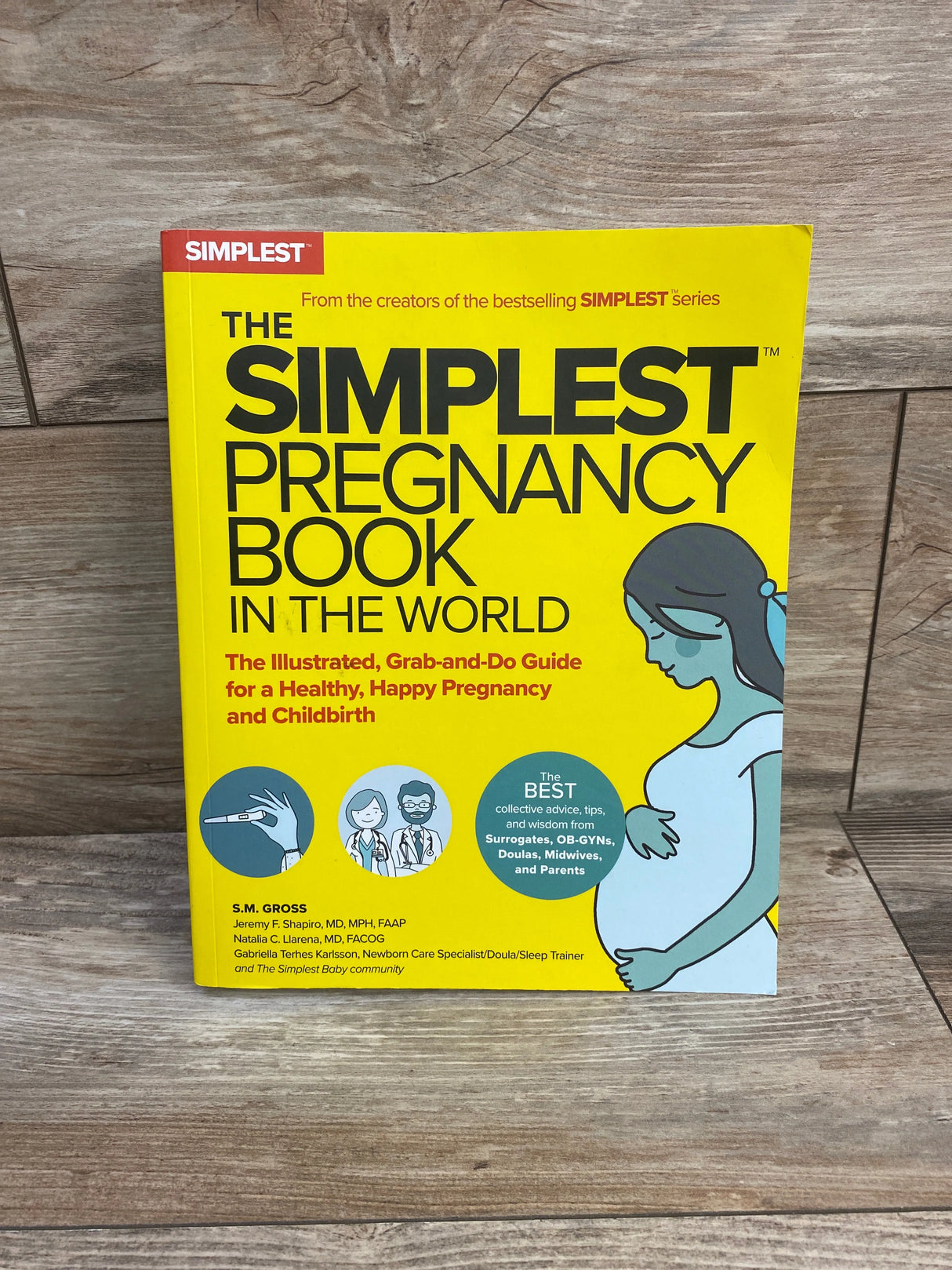 The Simplest Pregnancy Book in the World Paperback Book