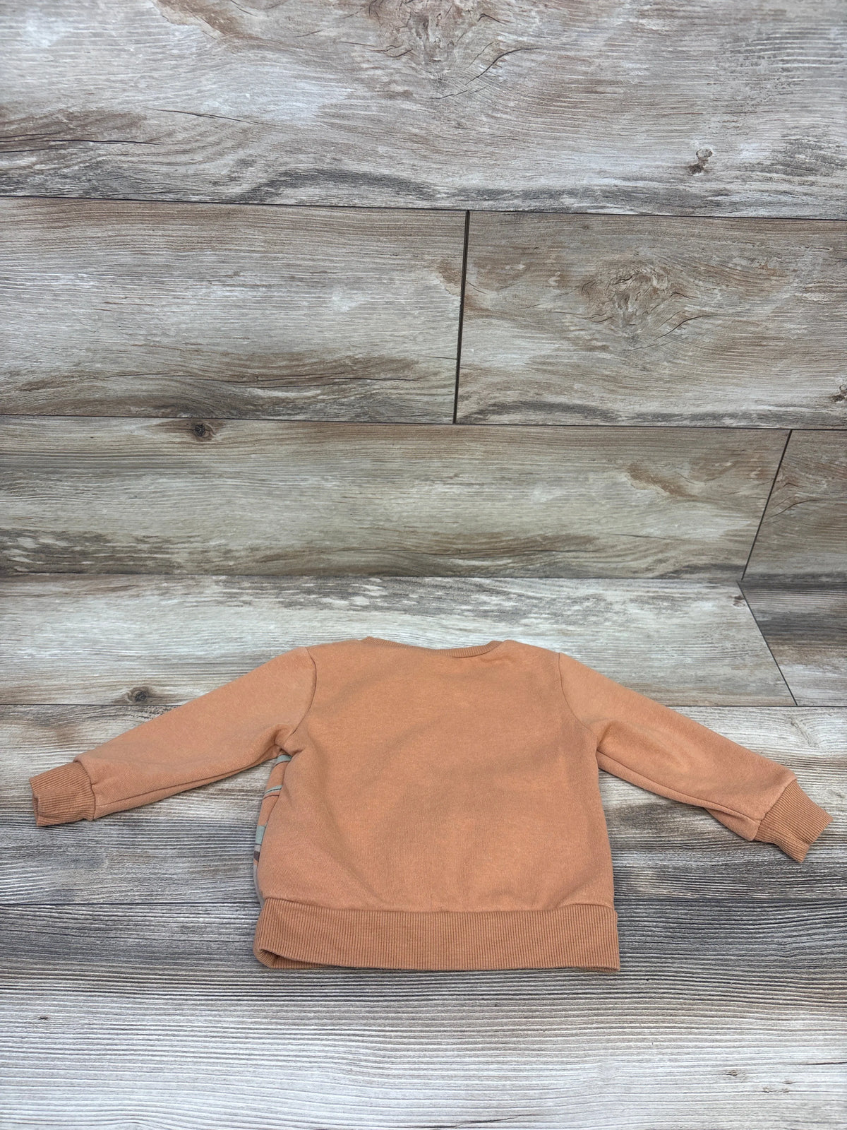 Star Wars Sweatshirt Caramel sz 12m
