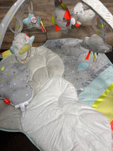 Skip Hop Silver Lining Cloud Activity Gym