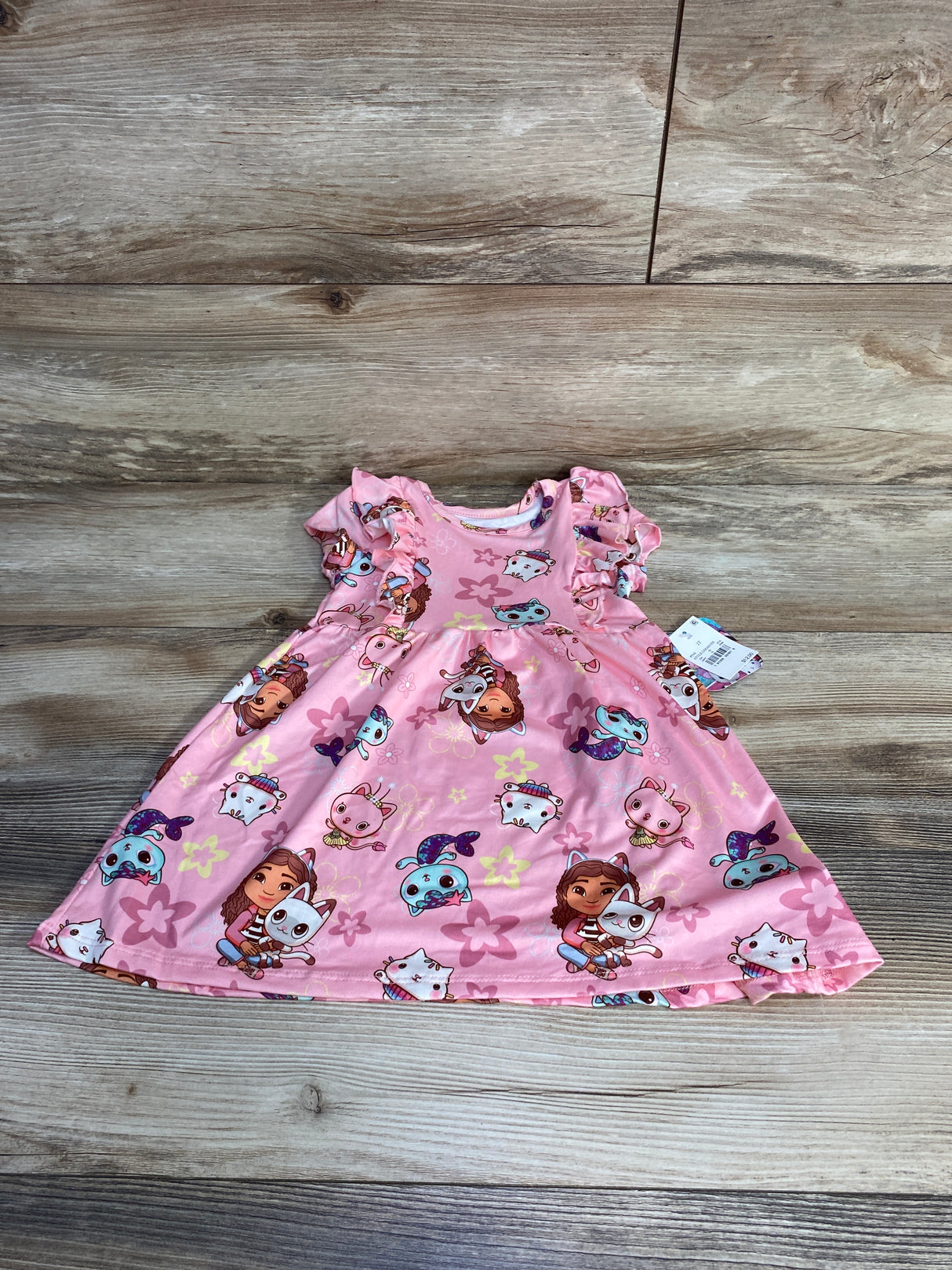 NEW Gabby's Dollhouse Ruffle Trim Dress Pink sz 2T