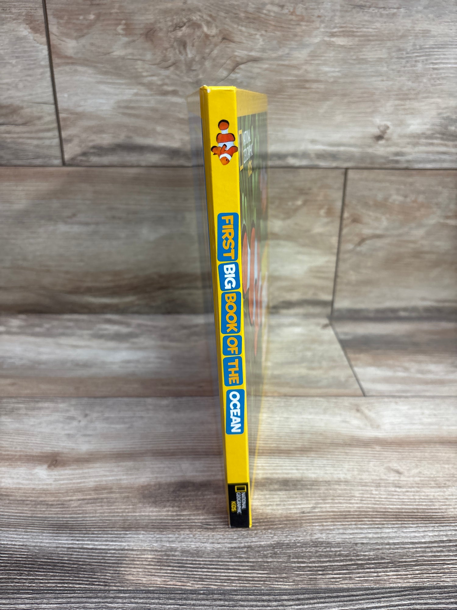 National Geographic Little Kids First Big Book of the Ocean Hardcover Book