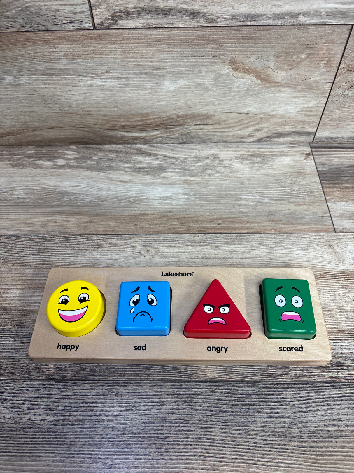 Lakeshore Emotion Match Puzzle Board