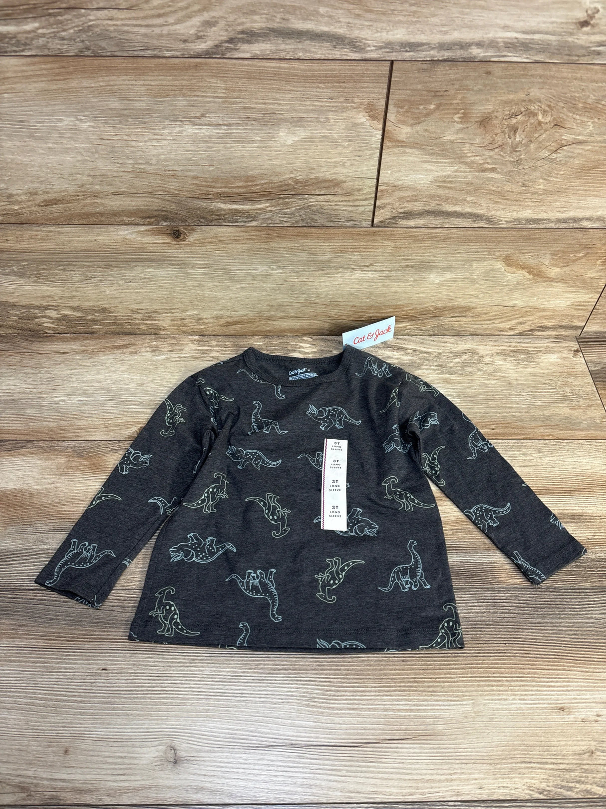 Long sleeve toddler shirt with dinosaur print on wood background, size 3T, resale kids clothing