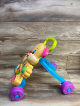 Fisher Price Laugh and Learn Smart Stages Learn With Puppy Walker