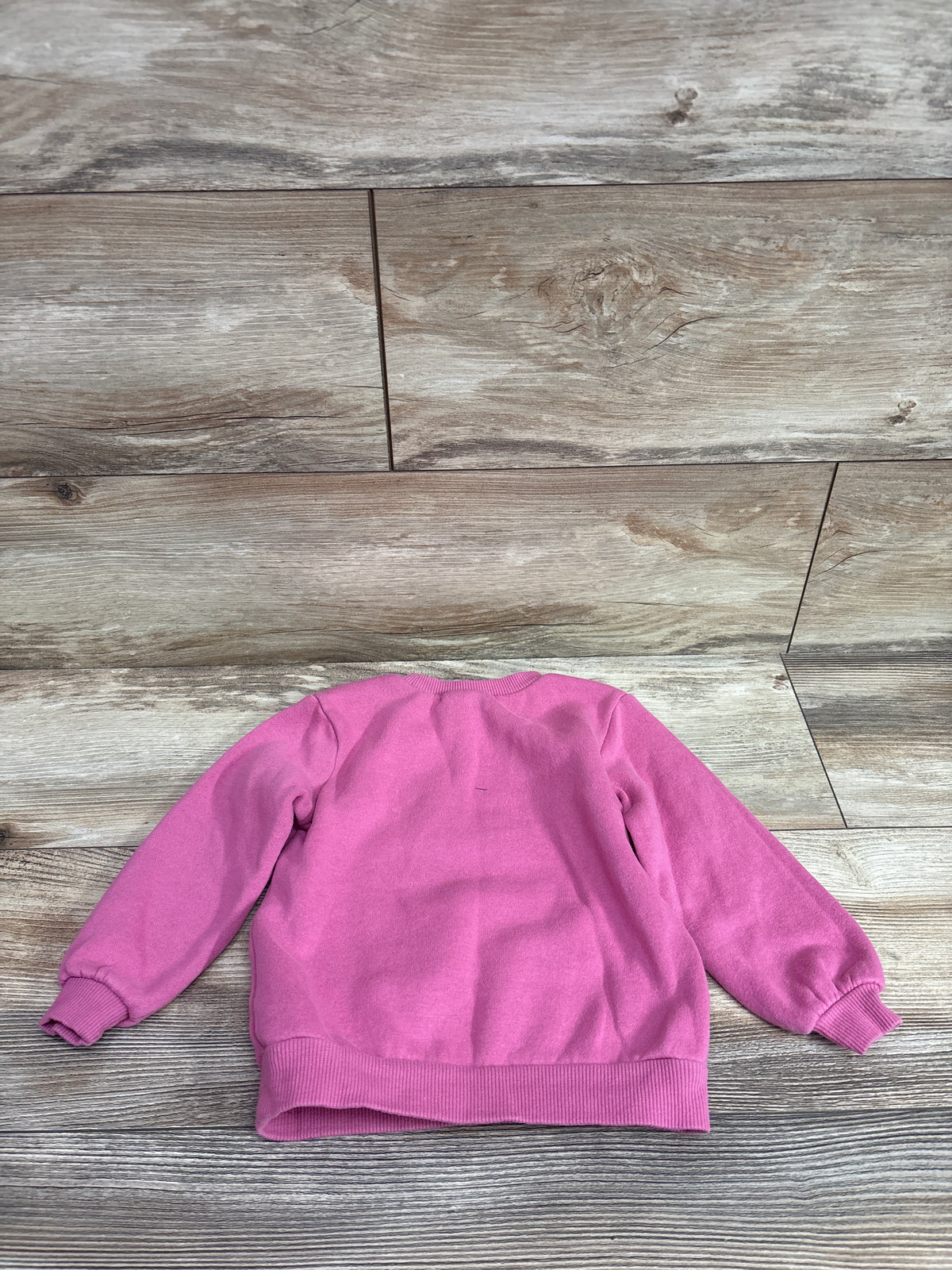 Bluey Best Day Ever Pullover Sweatshirt Pink sz 2T