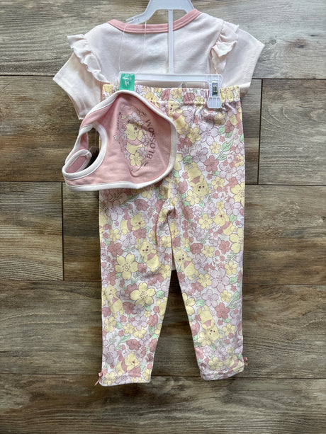 Overhead view of pink Disney Baby Winnie the Pooh three piece set with ruffled top, floral pants, and bib on wood background