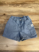 H&M Cotton Canvas Shorts In Dusty Blue sz 2T