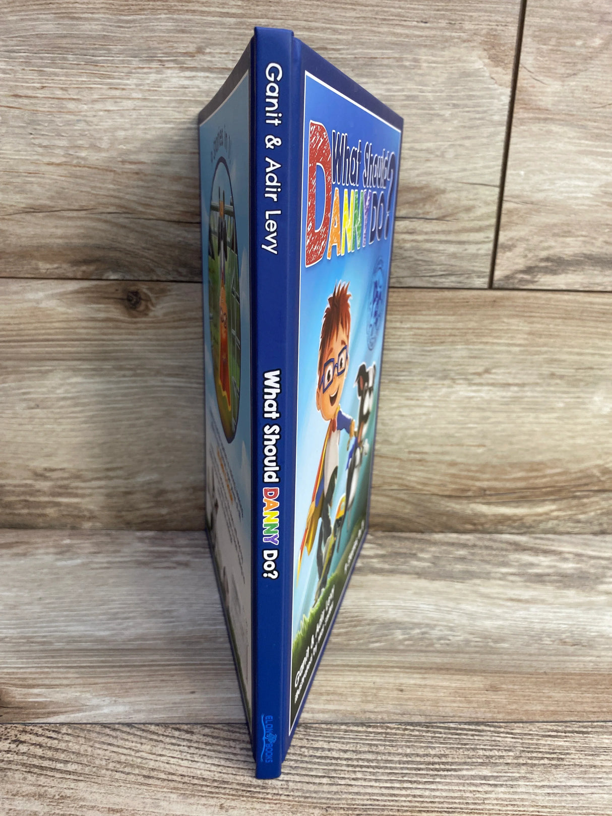 What Should Danny Do? Hardcover Book