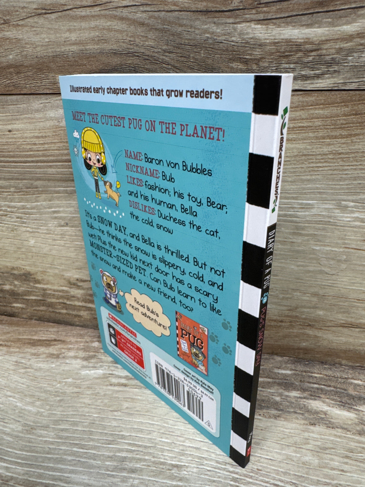 Diary of a Pug #2: Pug's Snow Day Paperback Book