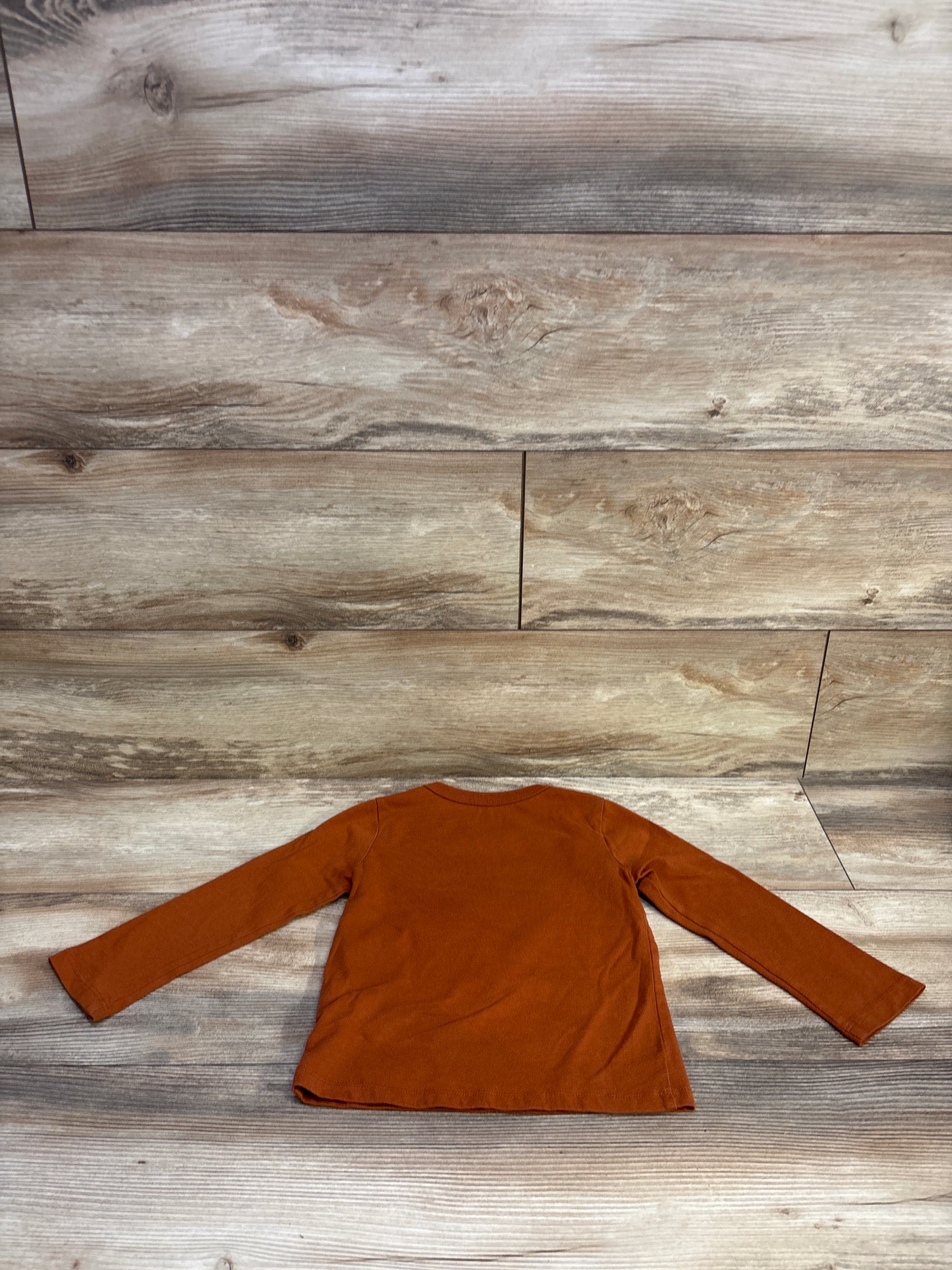 Children's Place Cutest Pumpkin In The Patch Shirt Brown sz 5T