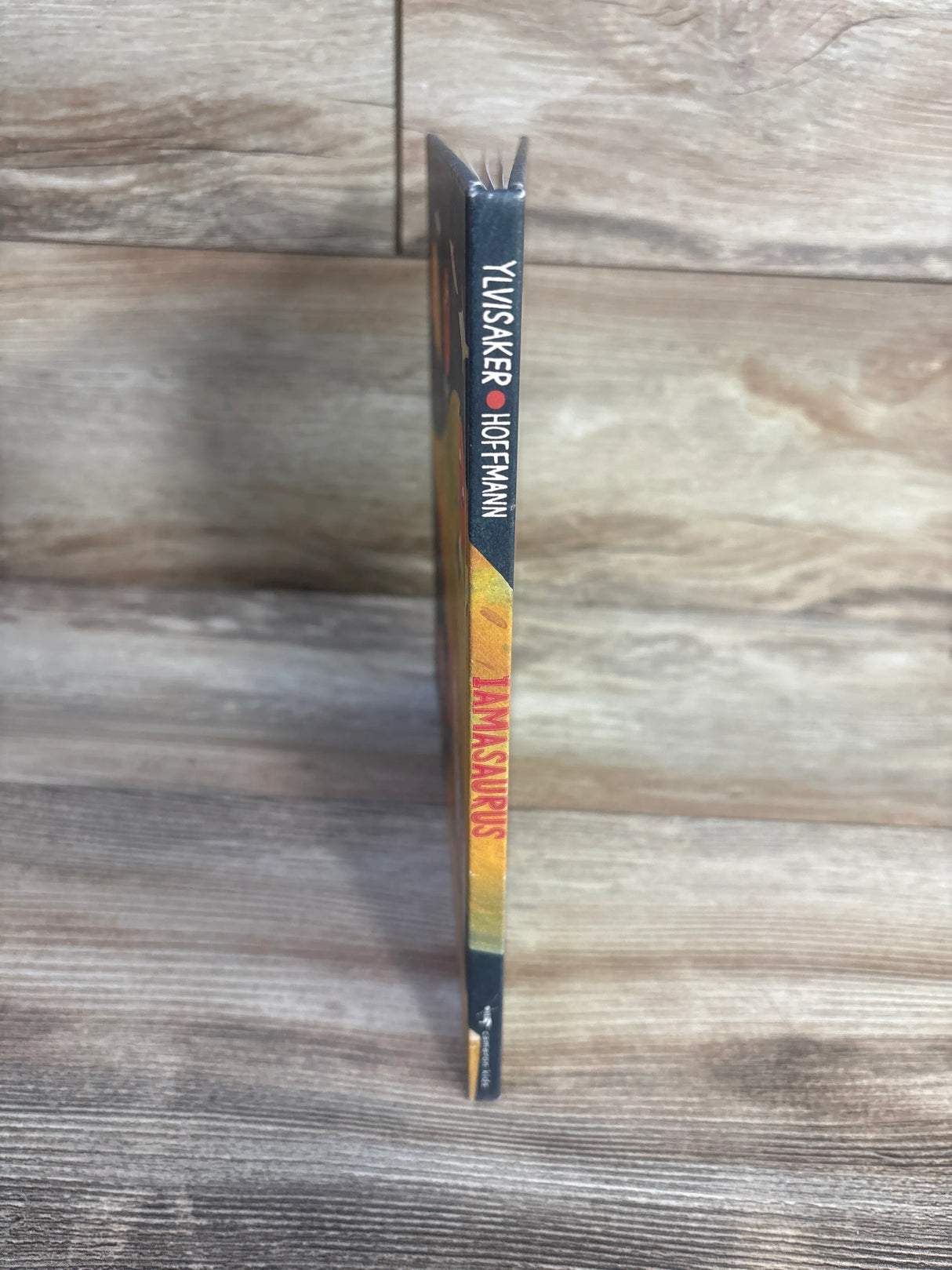 Iamasaurus Hardcover Book