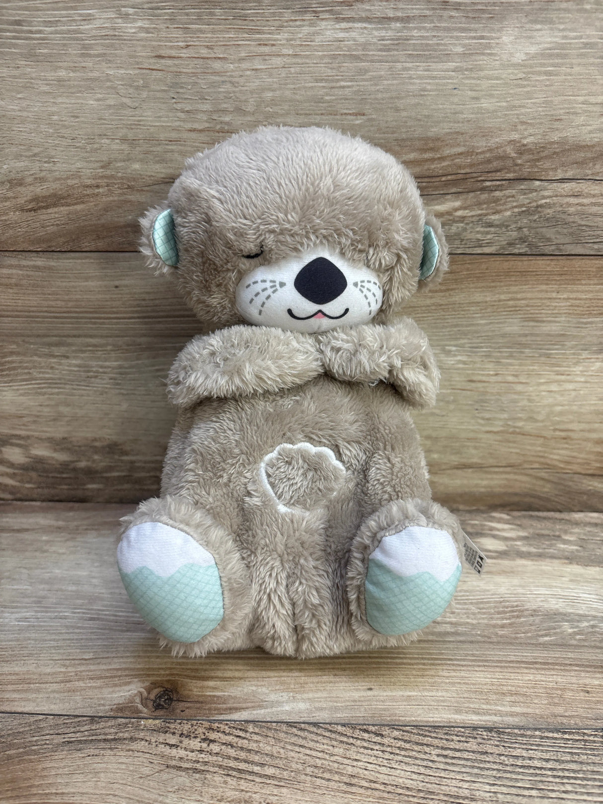 Fisher Price Soothe 'n Snuggle Otter