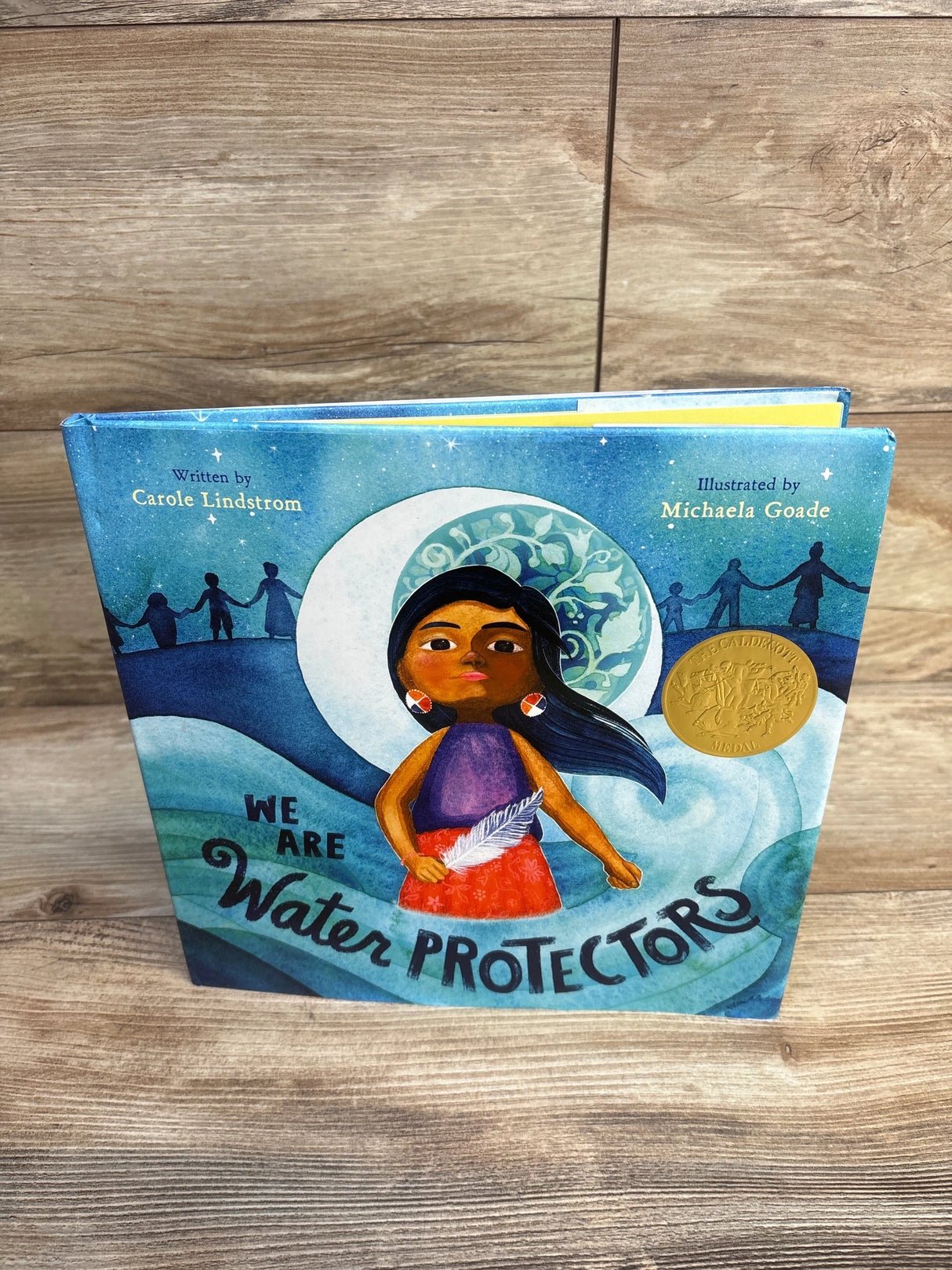 We Are Water Protectors Hardcover Book