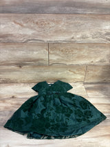 Katie M Embroidered Floral Tulle Dress Green sz 2T