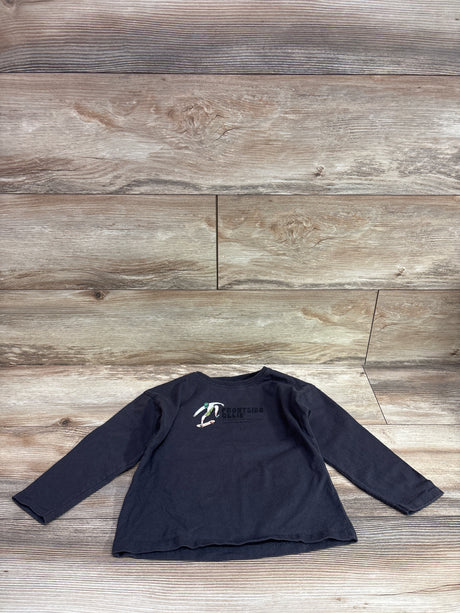 Front view of Zara long-sleeve Frontside Ollie shirt in grey, size 5T, showcasing chest graphic on wood background