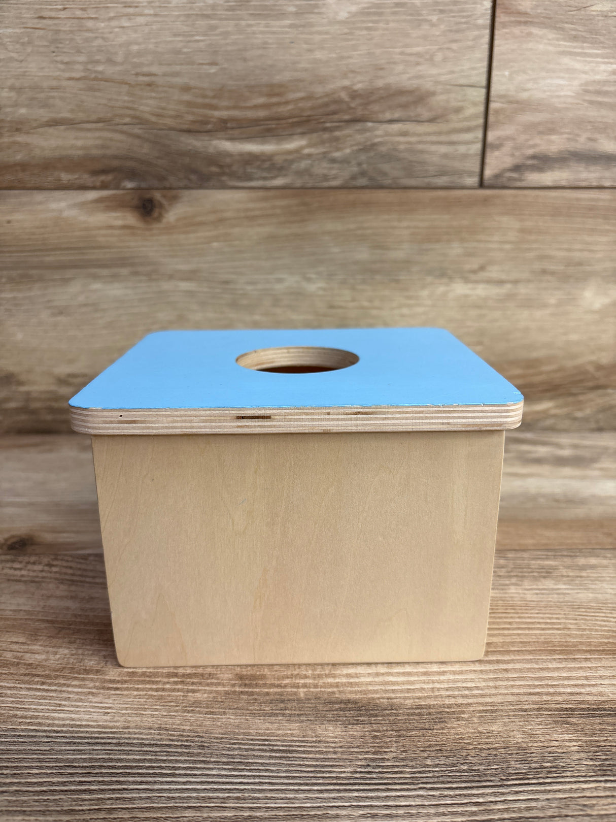 Montessori Ball Drop Wooden Toy + Two Balls