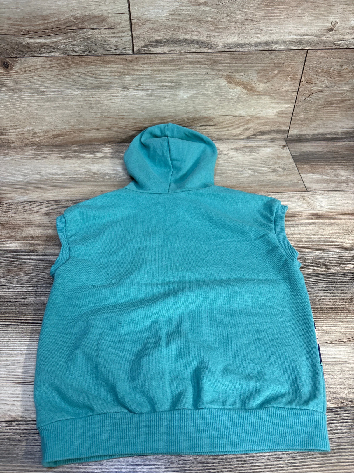 Bluey Are We There Yet Sleeveless Pull Over Hoodie Set Teal sz 5T
