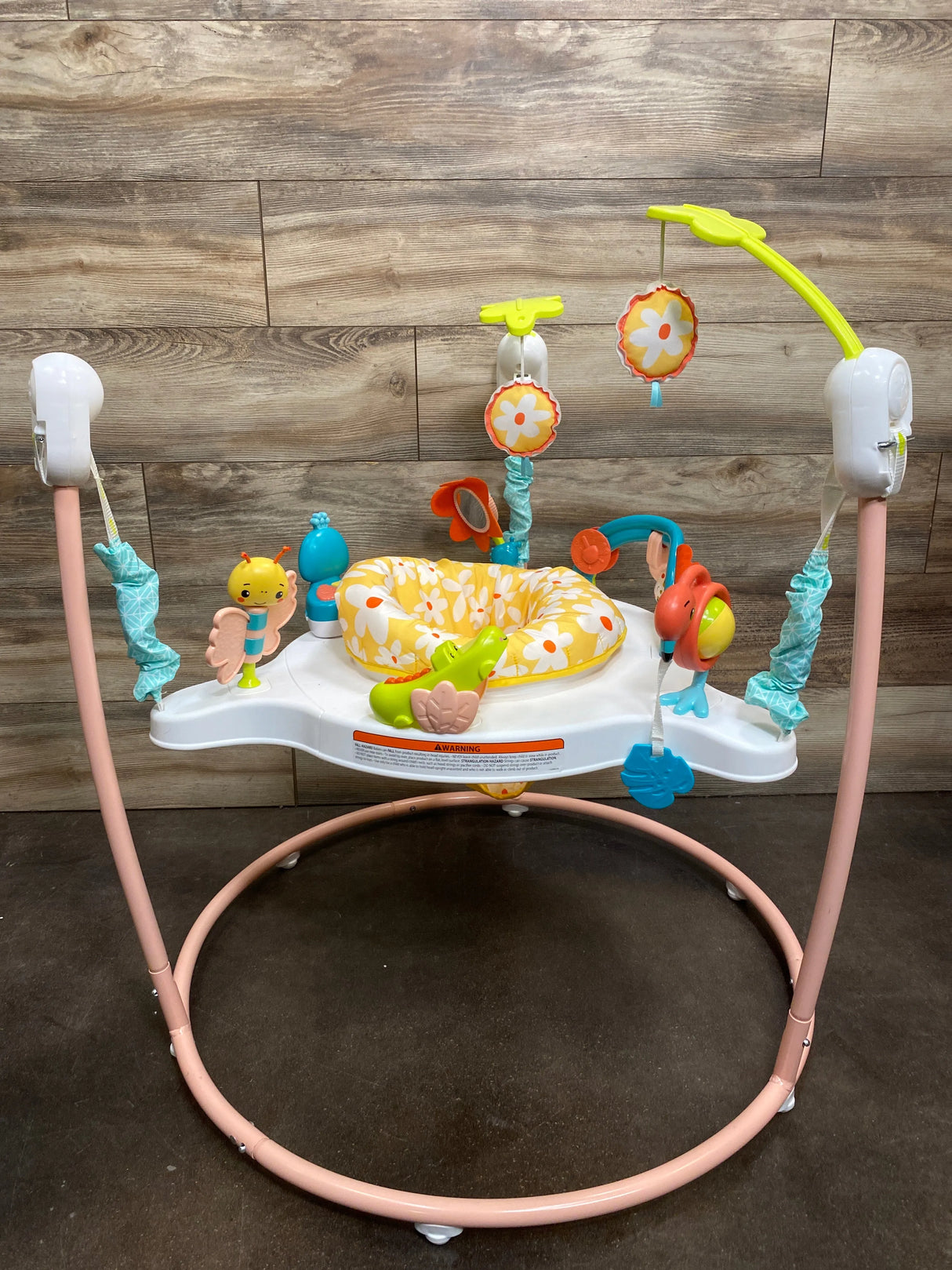 Fisher Price Blooming Fun Jumperoo