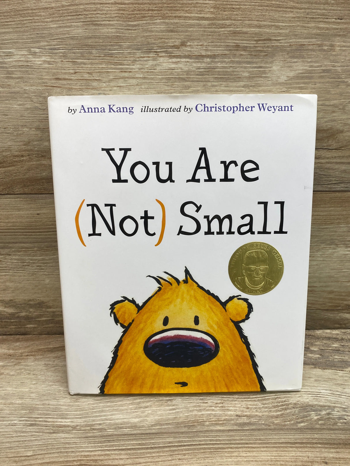 You Are Not Small - Hardcover By Anna Kang