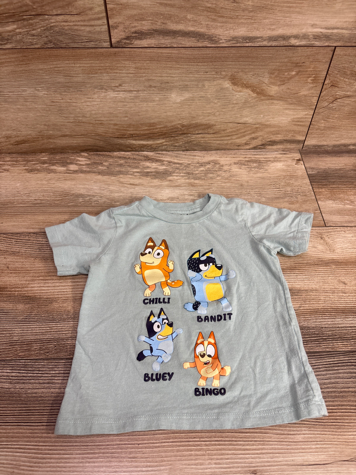 Bluey Shirt Mint sz 2T