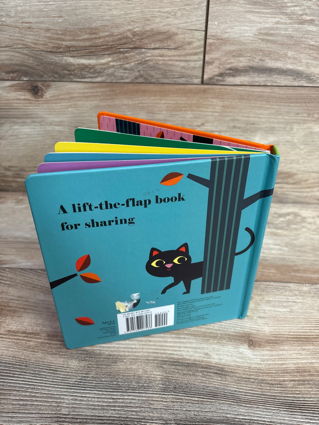 Where's the Witch? Lift-a-Flap Board Book