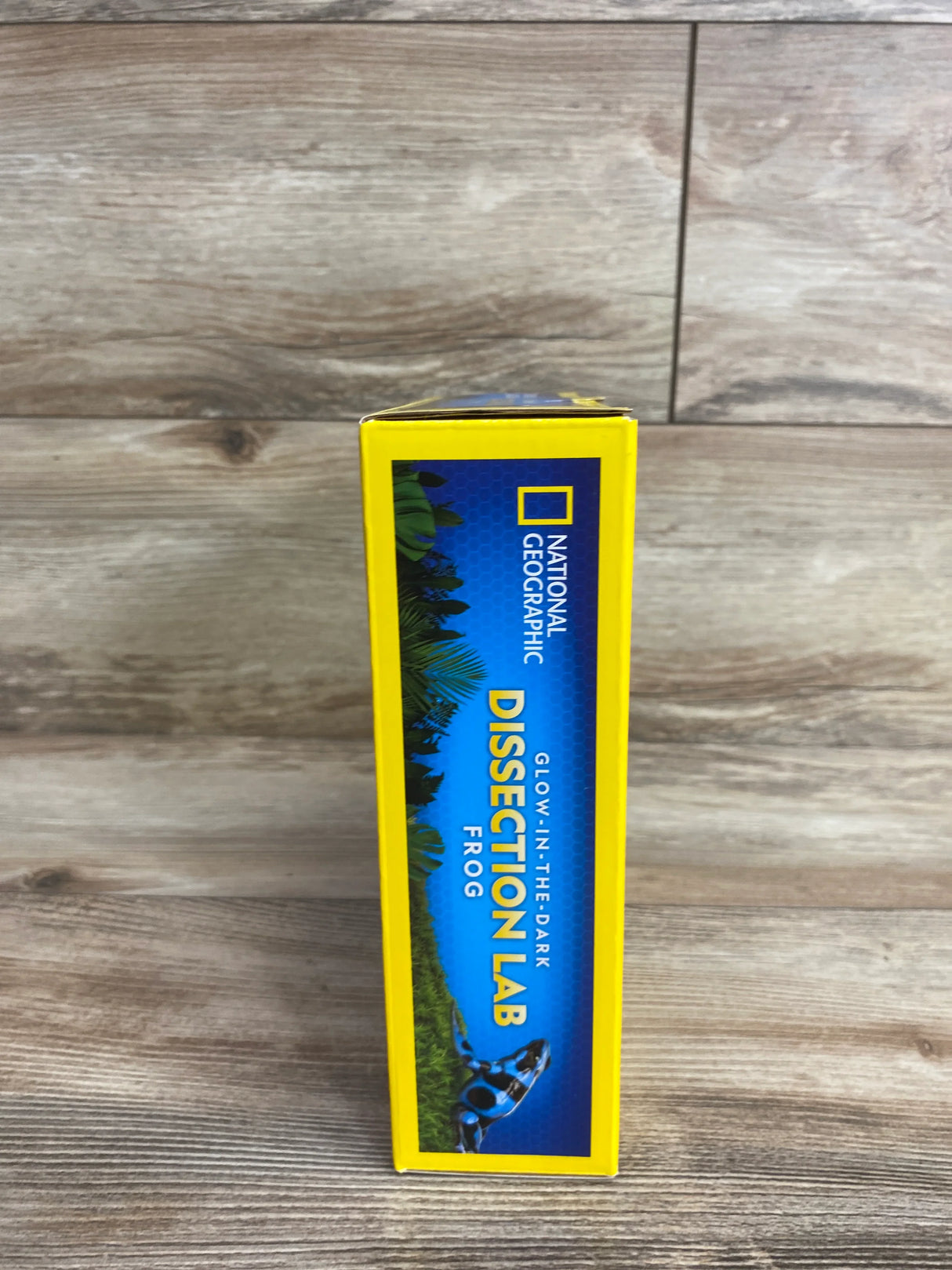 NEW Glow-In-The-Dark Dissection Lab - Frog