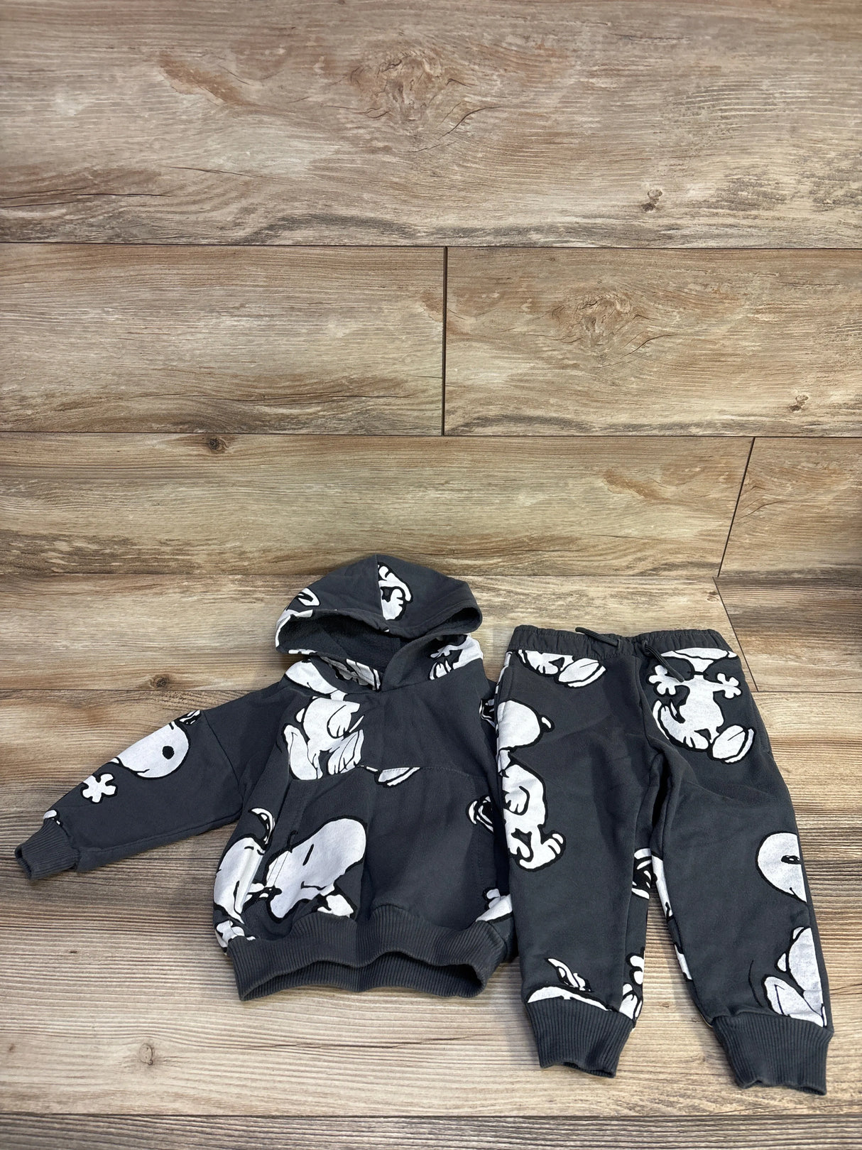 Peanuts 2pc Snoopy Pull Over Hoodie & Jogger Set Grey sz 18m