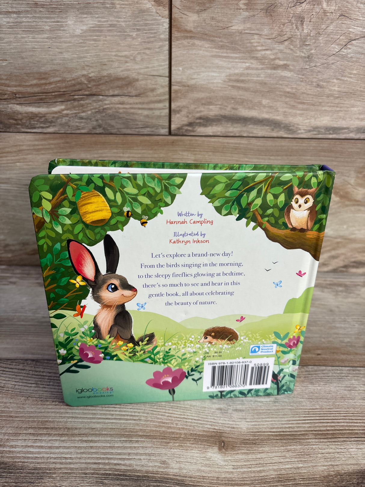 What a Wonderful World: Padded Board Book