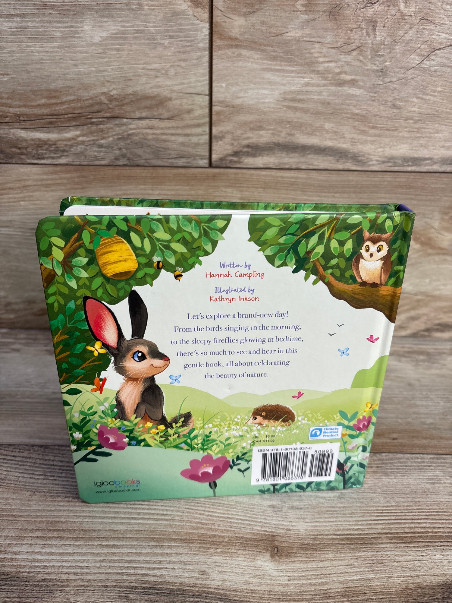 What a Wonderful World: Padded Board Book