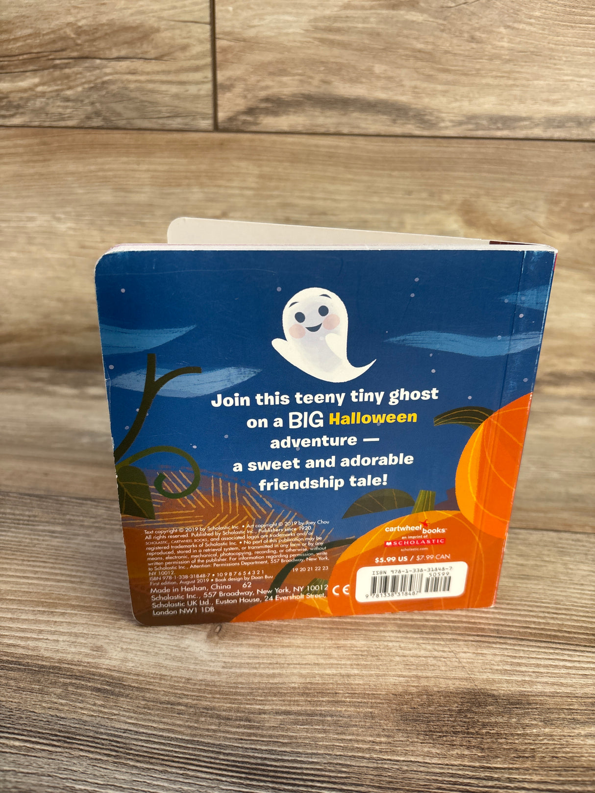 Teeny Tiny Ghost Board Book